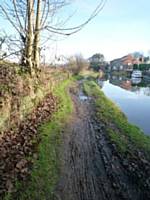 Canalside path in untreated state